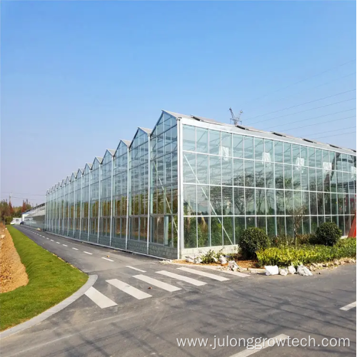 Commercial Intelligent hydroponic glass greenhouse